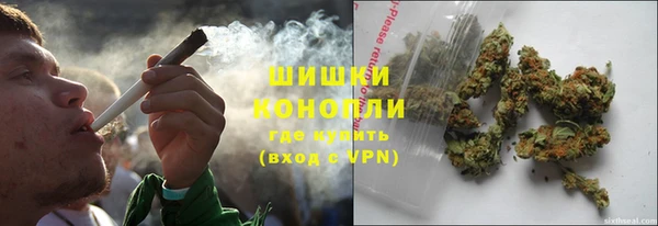 ГАЛЛЮЦИНОГЕННЫЕ ГРИБЫ Белокуриха