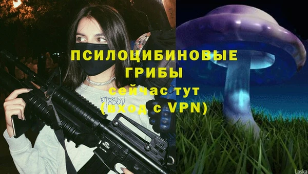 apvp Беломорск