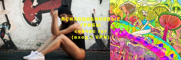 apvp Беломорск