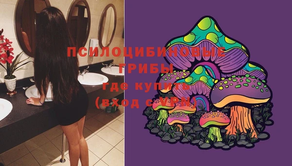 2c-b Белоозёрский