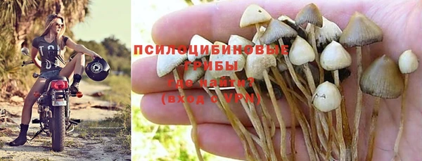 2c-b Белоозёрский