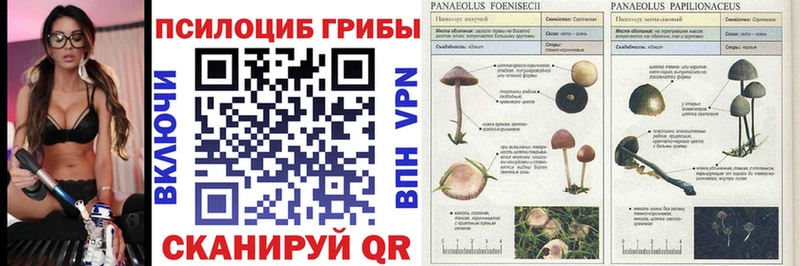Галлюциногенные грибы MAGIC MUSHROOMS  маркетплейс состав  Кропоткин  где купить наркоту 
